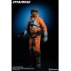 Star Wars Action Figure 1/6 Luke Skywalker Rogue Group Snowspeeder Pilot (Episode V) 30 cm